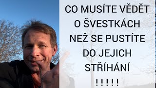 ❗️Zdravá švestka 🌳 Nezačínejte s jarním řezem švestky než si pustíte toto video ❗️