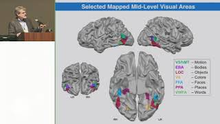 OHBM Oral Presentations 2015: Rainer Goebel