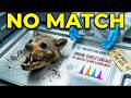 The Oldest Dire Wolf Remains On Earth Have DNA That Doesn’t Match Any Living Wolf