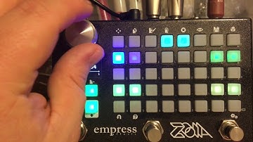 Empress ZOIA patch walk-through:  "Relative time -- a chorus?  Reverb?  Bit crusher?"