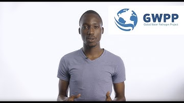 GWPP Knowledge to Practice