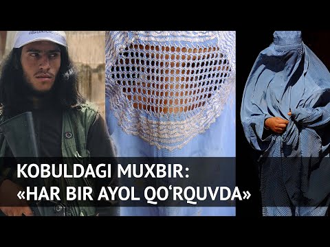Video: Uralda Bir Ayol Ovqat Iste'mol Qilgani Uchun Itni O'ldirdi