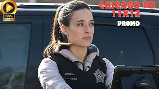 Chicago PD 11x12 (HD)  Title  