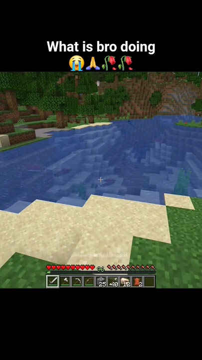 Broo what u doing #minecraft #viralvideo