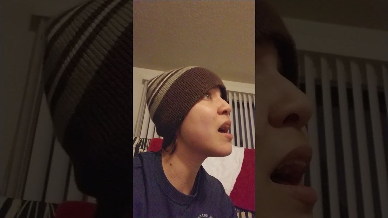 Niall Horan - Too Much to Ask Vocal Cover - YouTube