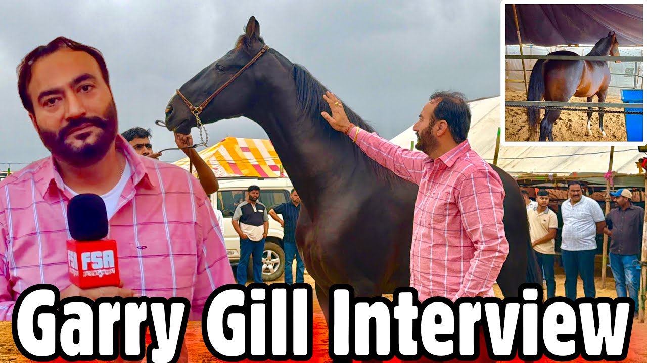 Garry Gill’s 1st Interview on FSA at Pushkar Mela 2025 | Suggest a name for his Horse