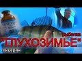 ЗИМНЯЯ РЫБАЛКА окуня на ГЛИЦЕРИН. Прикормка рыбы в глухозимье. Клюет один за другим.