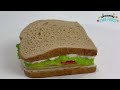 Fake Half Turkey Sandwich on Wheat Bread