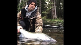 January chrome, a one day steelhead adventure on Vancouver island in British Columbia