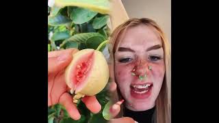 This Is So Funny, L Couldnt Stop Laughing