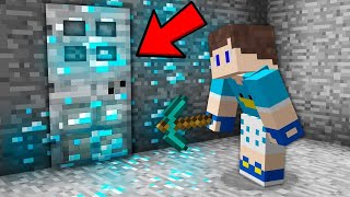 Why did they HIDE THIS SECRET DOOR in minecraft!!