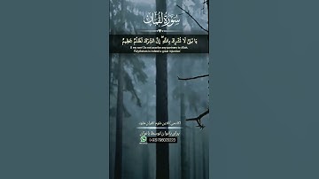 |و لقمان در حالیکه پسر اش را پند میداد گفت ؛ ....| سوره مبارکه #لقمان | آیه #۱۳ |