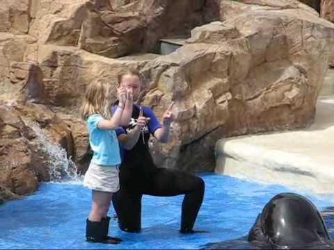 Sea World Dolphin Show