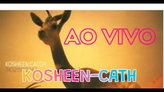 KOSHEEN - Catch- AO VIVO