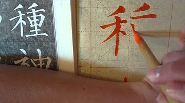 Seed / To Plant 種 in Mandarin Chinese Kaishu Calligraphy