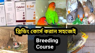 All Birds Breeding Course
