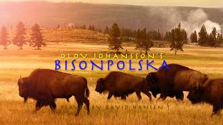 Video thumbnail of "Bisonpolska (Olov Johansson)"