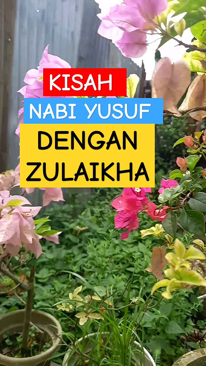 kisah nabi yusuf dan zulaikha