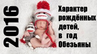 видео Год Огненной Обезьяны 2016: характеристика