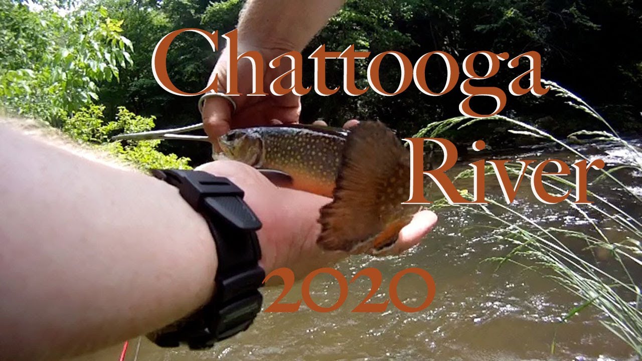 Chattooga River 2020 Fly Fishing For Trout YouTube