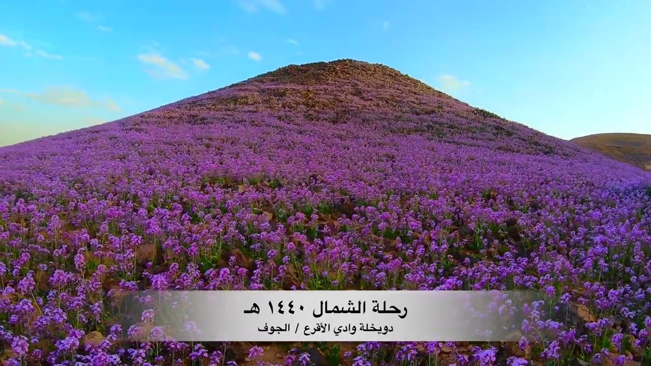 ربيع الشمال ١٤٤٠هـ ٢٠١٩م (الجزء الثاني)