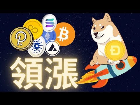   推特收購案後狗幣DOGE暴漲領漲加密貨幣市場 幣安正式成為推特股東