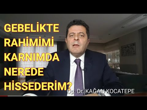 Video: Rahim Ağzınızı Nasıl Hissedersiniz: 9 Adım (Resimlerle)