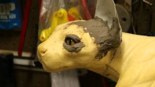 How to do Predator eyes! Taxidermy Tips and Tricks