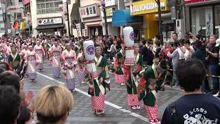 東京よさこい2025 ～ 濱長 花神楽 （四商店街通り）
