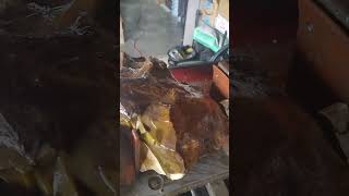 What's Inside??? Cutting open a large Opalized Petrified Wood!!