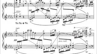 Meinders Plays Schubertgodowsky Morgengruss