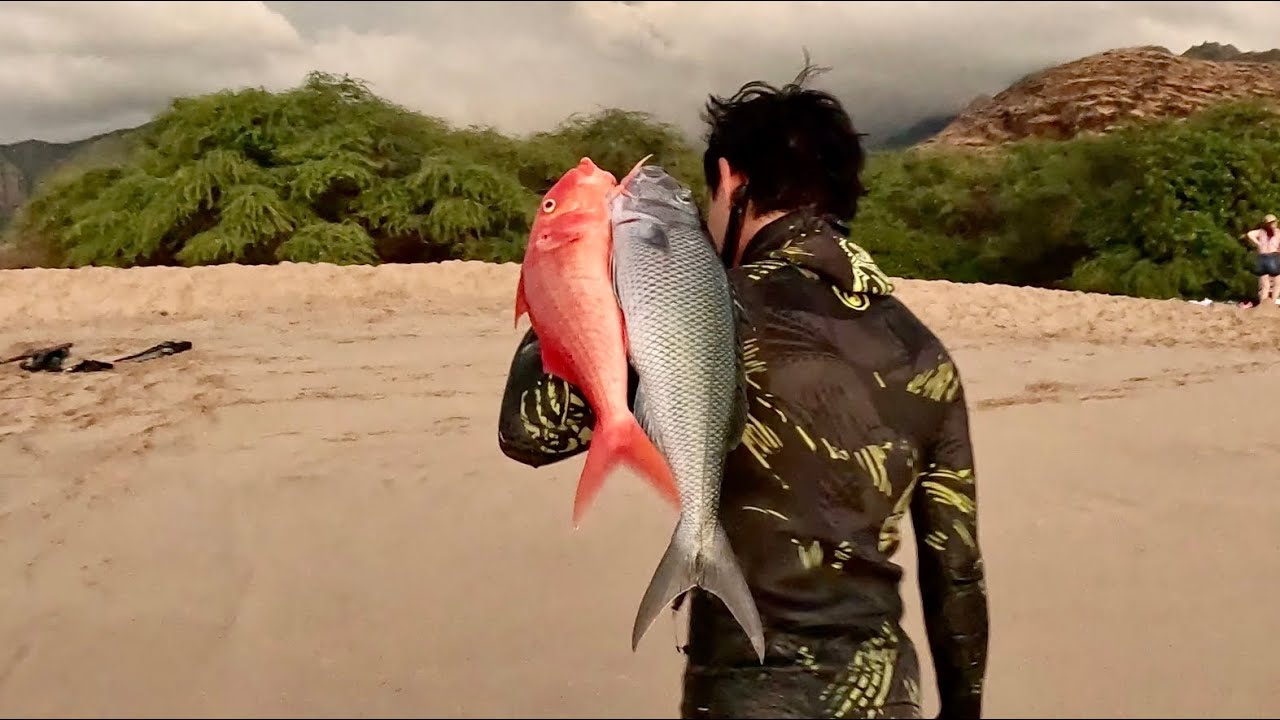 Подводная охота на Гавайях | Лови и готовь по моему ЛЮБИМОМУ рецепту для уку! | Фт. Ватамуркеххх