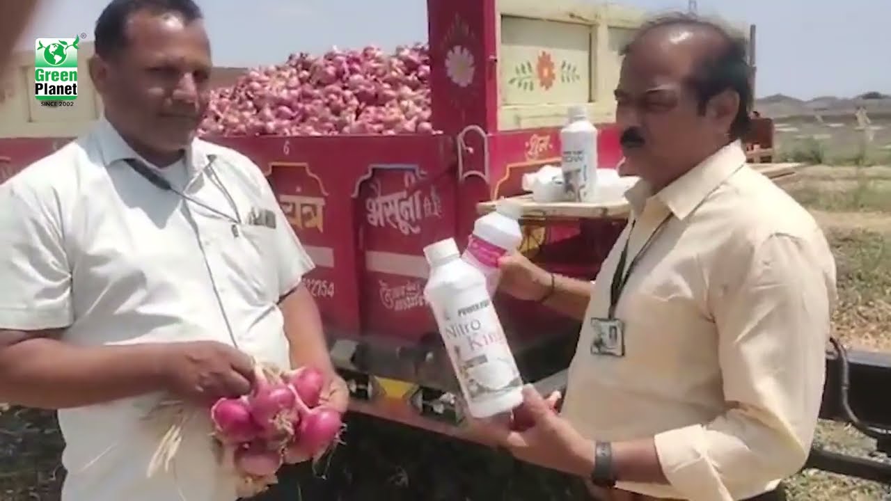 Excellent Result on Onion by using Green Planet Bio Products