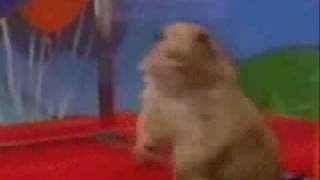 Dramatic Chipmunk
