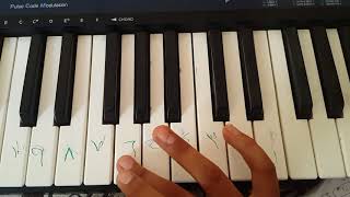 تعليم عزف اغنية ديسباسيتو على بيانو Casio  CA 110