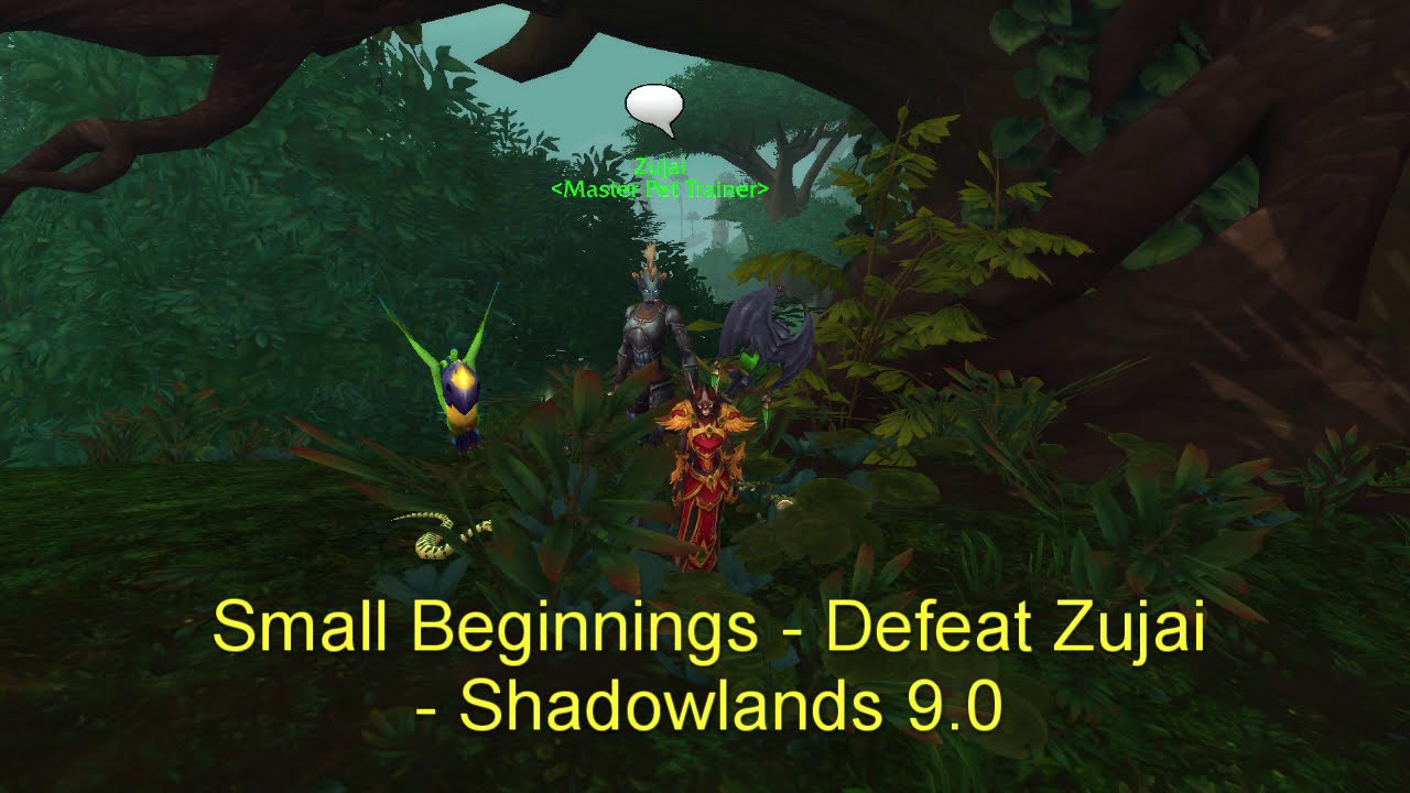 Small Beginnings - Defeat Zujai - Shadowlands 9.0