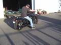 Bassani exhaust on harley vrod