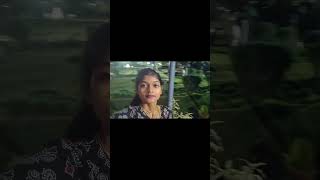 #BacheliPark #ParkVlog #ParkTour #MobileVlog #VlogVideo #NatureVibes #