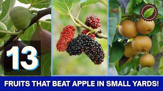 13 Fruit Trees That Outyield Apple in Half the Yard (That Nobody Plants)