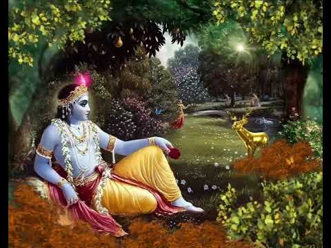 Sri Krishna Vrindavan
