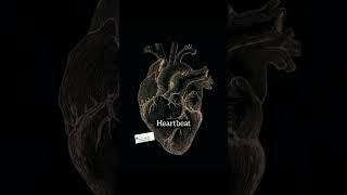 Rose Ki Tomar...? É