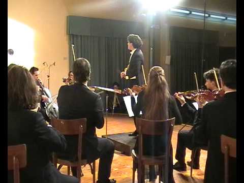 WA Mozart - Divertimento per archi K 137 (2/3) All...