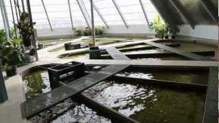 Aact Super Smart Integrated Biosystems -