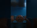 The egg life