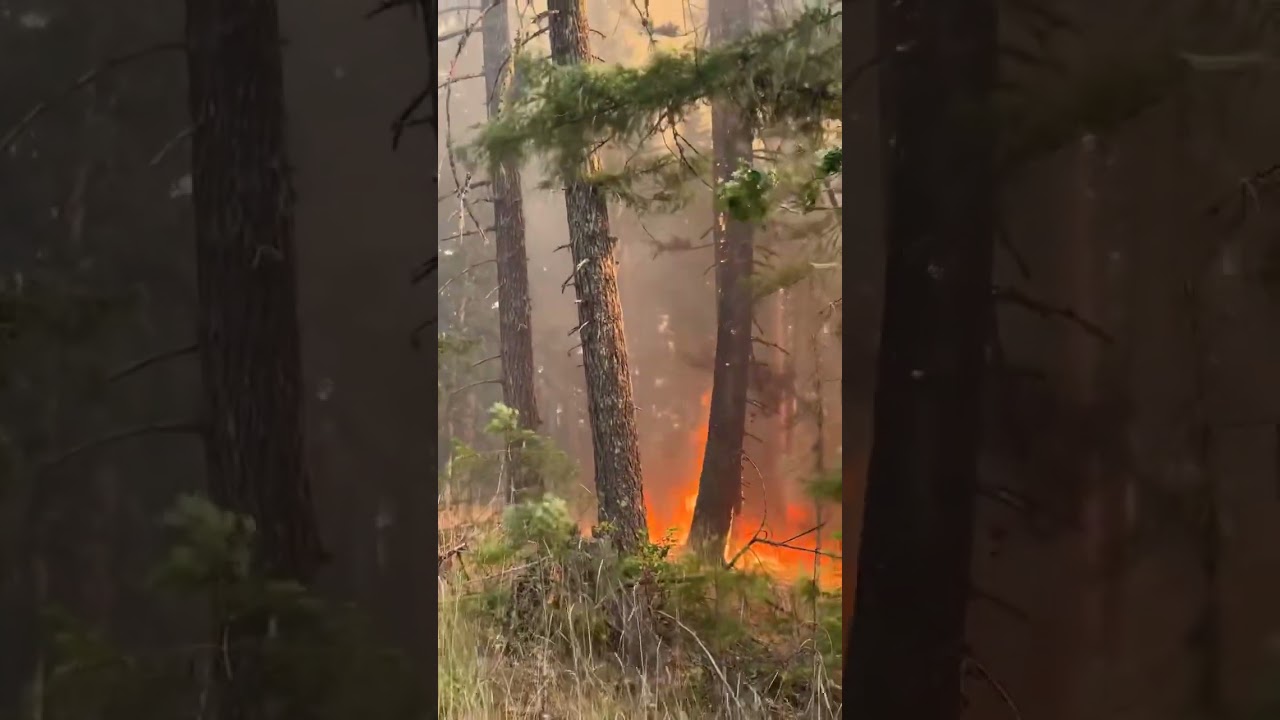 PNW Wildfire