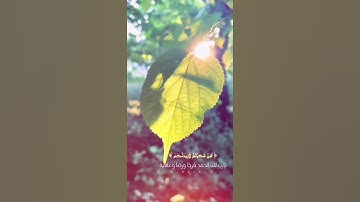 وقال أوزعني أن أشكر نعمتك القارئ إسلام صبحي