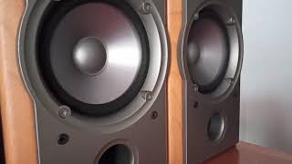 SONY SS-NX1 BASS TEST DJ SNAKE