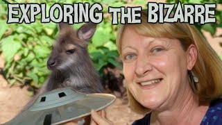 Tie Me UFO Down Sport   Live From Australian Outback