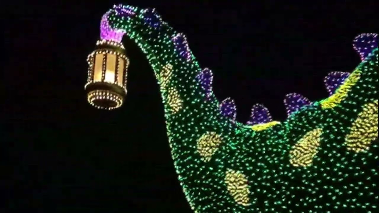 Electrical Parade Dreamlights 20220223 0227 TDR805 【for KIDS