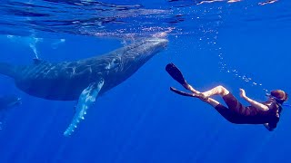 SWIMMING WITH WHALES | Incredible adventure in Tahiti (GoPro 4K)